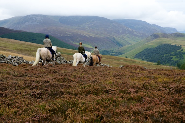 Highlands Pony trek